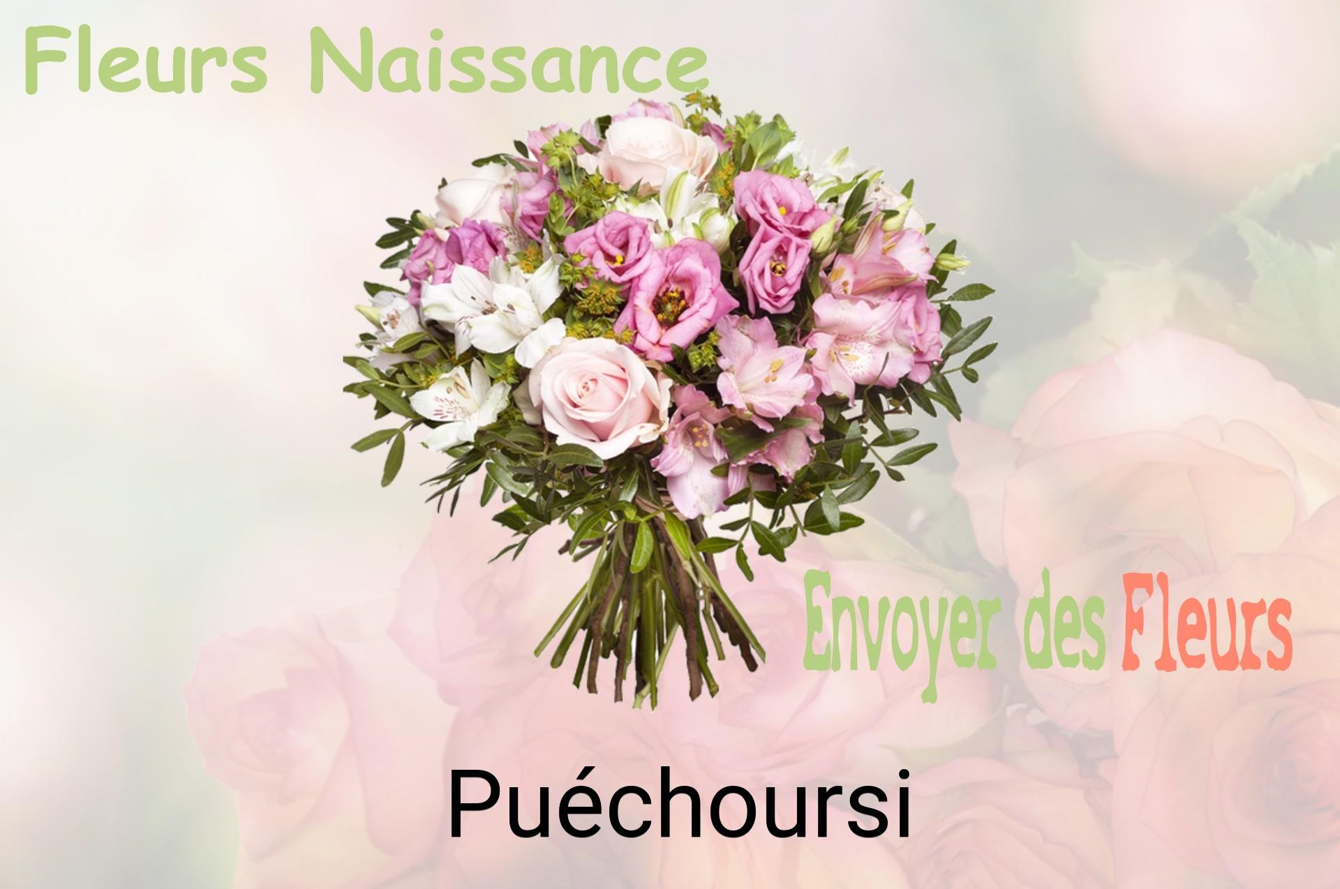 Bouquet de fleurs de naissance livré à Puéchoursi